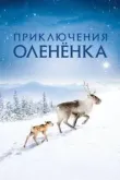 Приключения олененка