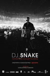 DJ SNAKE: Париж 2020. Концерт в кино